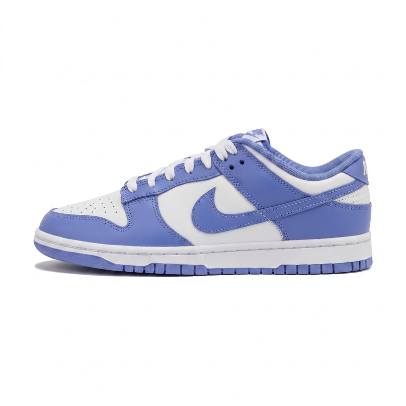 Dunk Low Polar Blue — Hero limpia