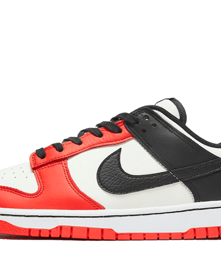 dunk low 75th aniversary Chicago gs