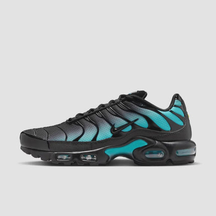 Nike Air Max Plus Black Dusty Cactus