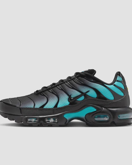 Nike Air Max Plus Black Dusty Cactus