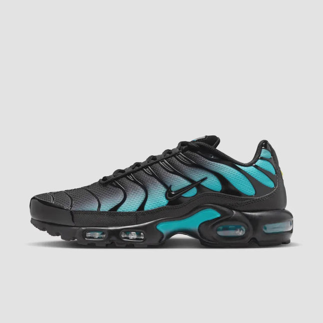 Nike Air Max Plus Black Dusty Cactus