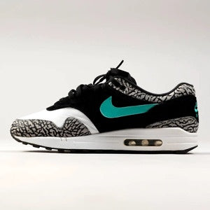 Air Max 1 Elephant Atmos