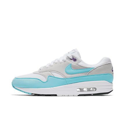 Air Max 1 Anniversary Aqua Used