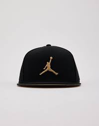 jordan jumpman pro cap