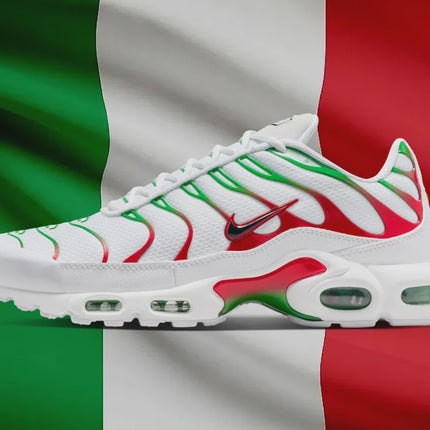 Nike Air Max Plus Italy