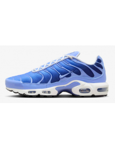 Nike Air Max Plus blau