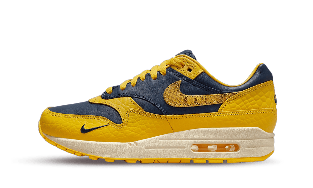 Air Max co. JP Michigan